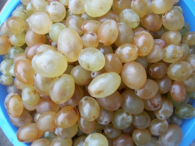 Washed Grapes for Badagi Recipe