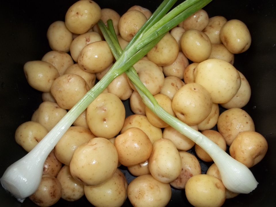 New Potatoes and Green Onion - Copy