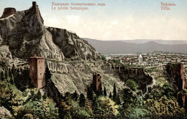 19th Century Postcard of the Tiflis Botanical Garden