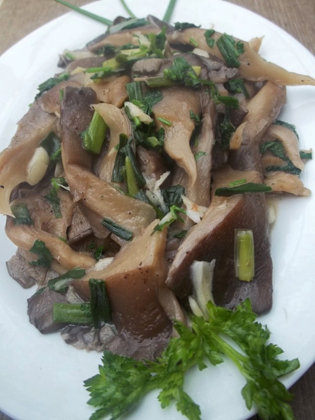 Mushrooms with Green Onions Ready for Serving - Copy